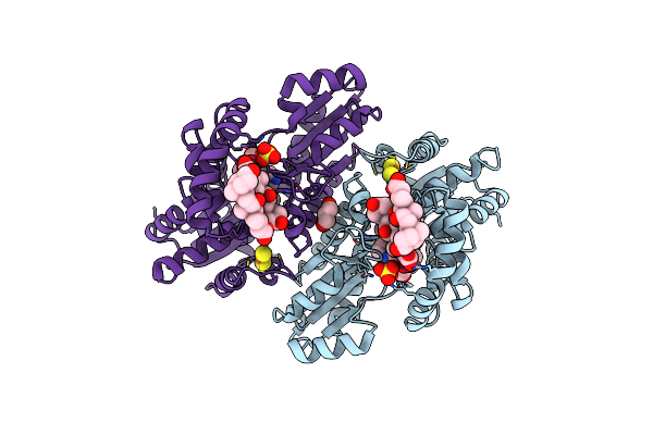 3HCR image