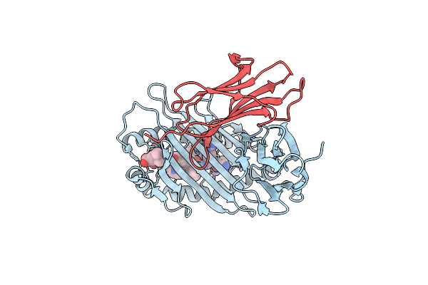 3HCV image
