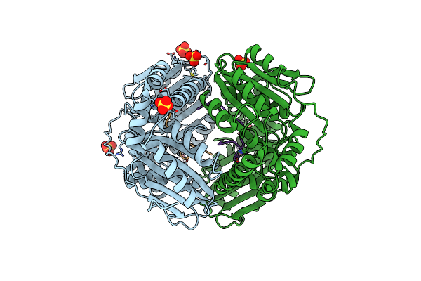 3HDI image