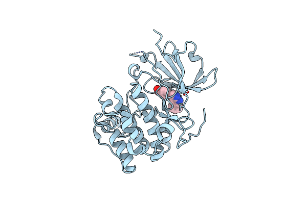 3HDM image