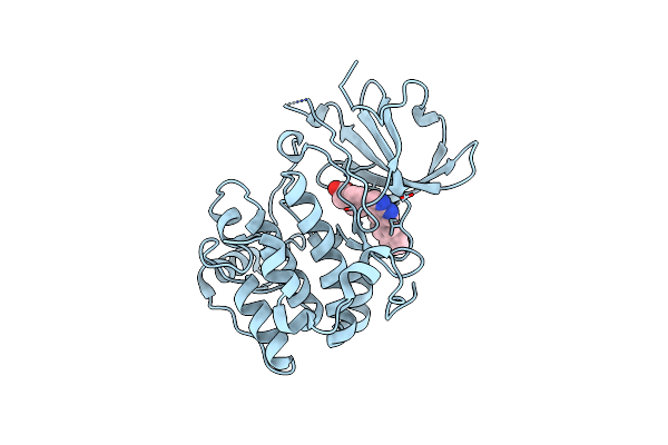 3HDN image