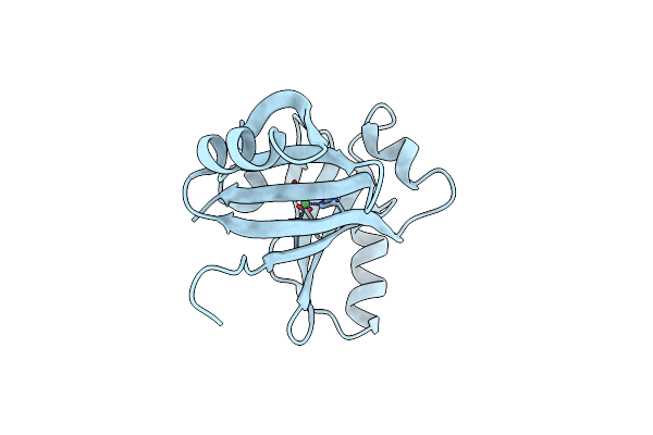 3HDP image