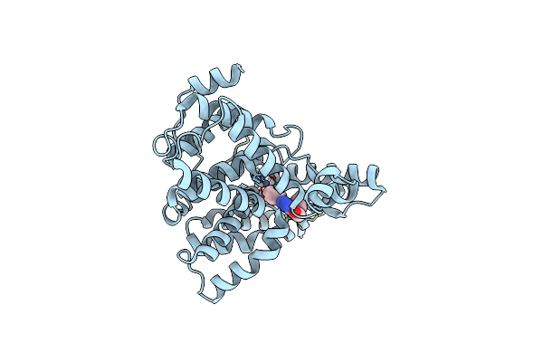 3HDZ image
