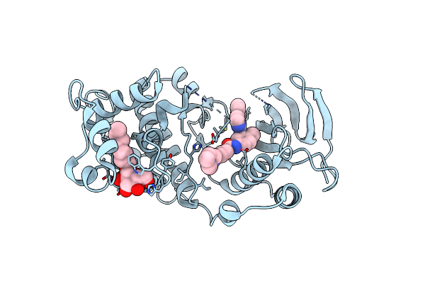 3HEC image