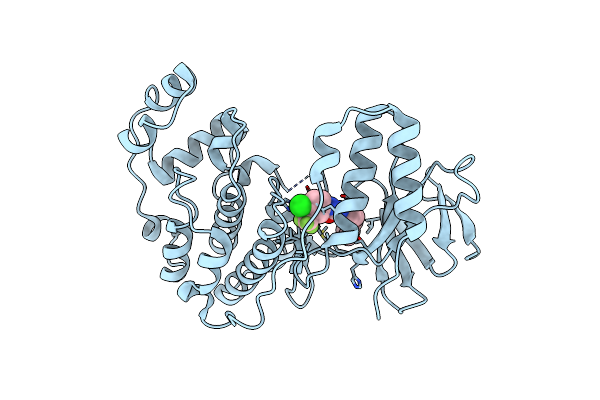 3HEG image