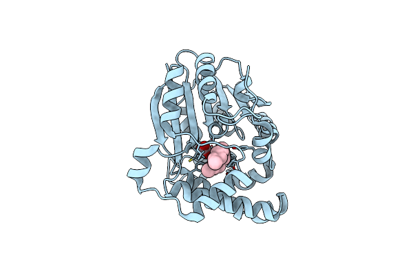 3HEM image