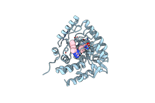 3HF6 image