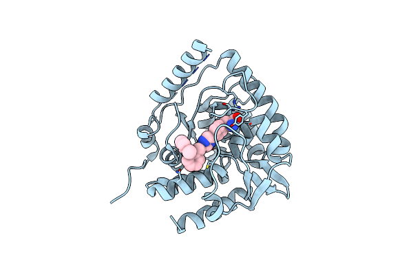 3HFB image