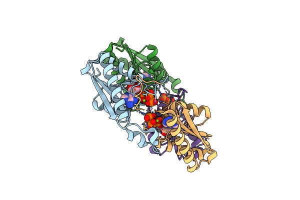 3HGM image