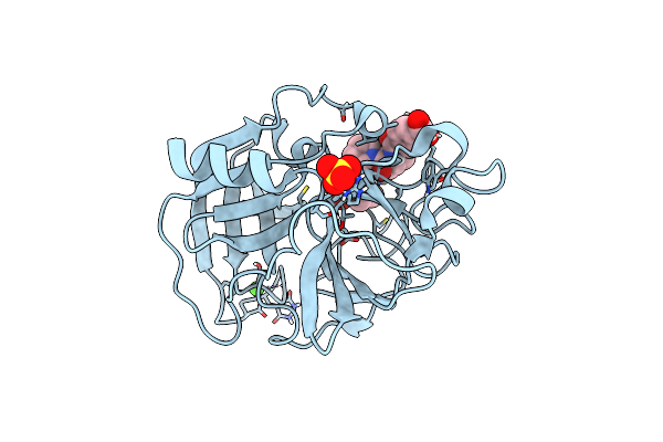 3HGN image