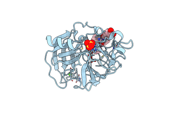 3HGP image