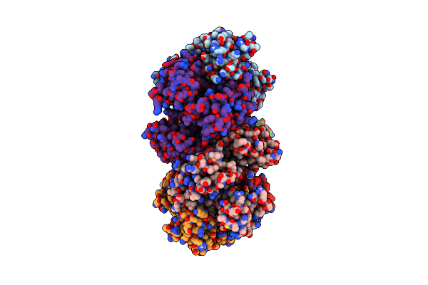 3HHG image