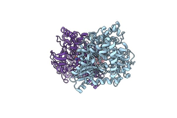 3HHK image