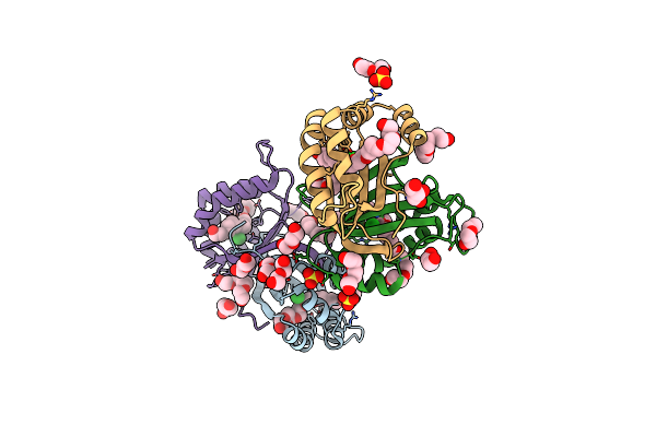 3HHL image