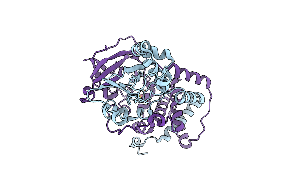 3HHT image