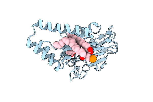 3HHX image