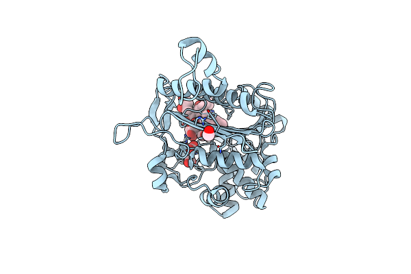3HLD image