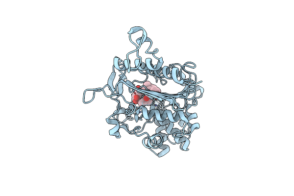 3HLG image