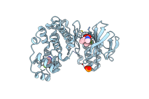3HLL image