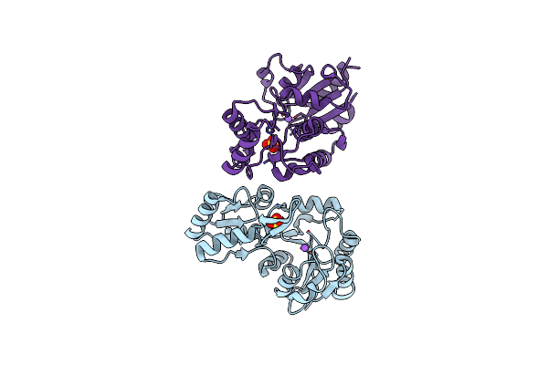 3HLT image