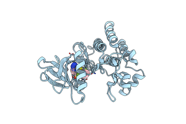 3HMI image