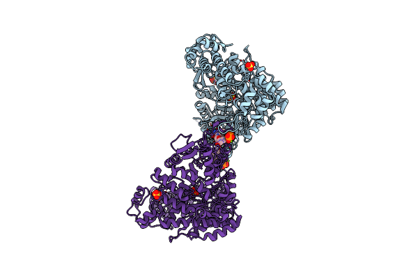 3HNC image