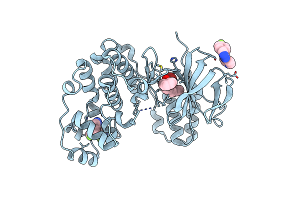 3HP2 image