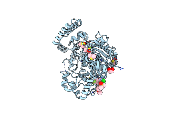 3HP9 image