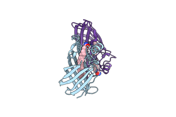 3HPE image