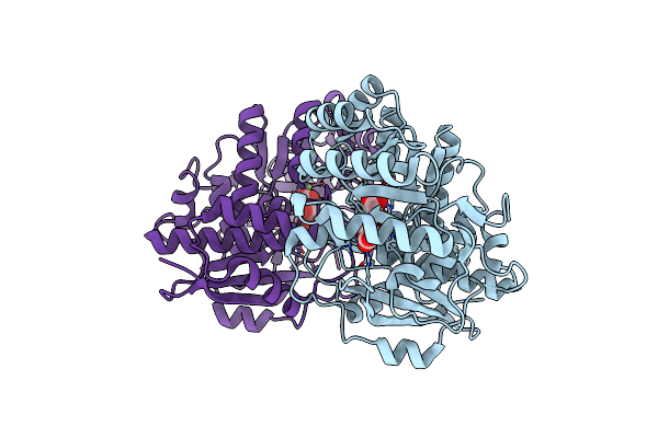 3HPF image