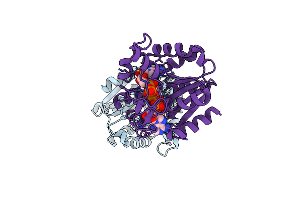 3HPR image