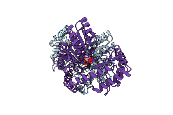 3HQT image
