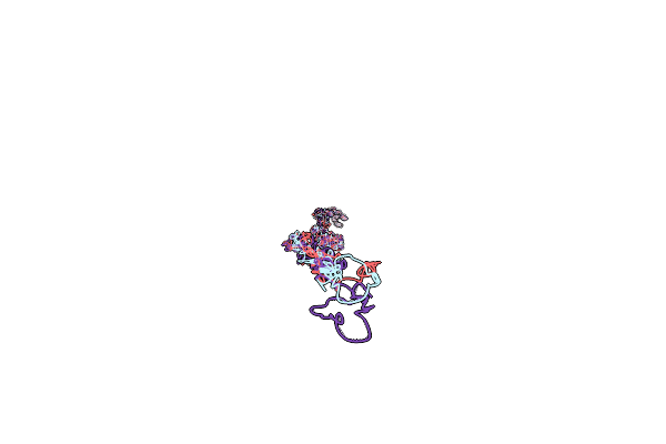 3HR2 image