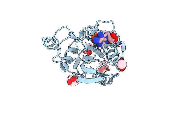 3HSG image