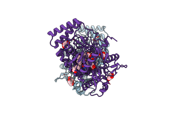 3HSN image