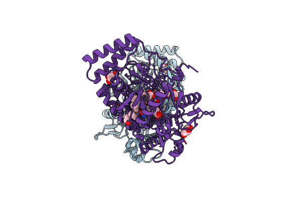 3HSP image