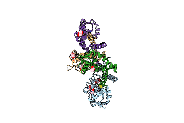 3HSR image