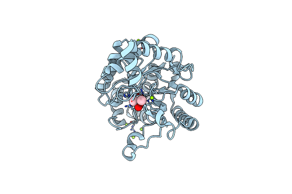 3HTW image