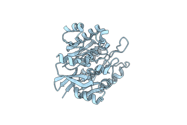 3HVM image