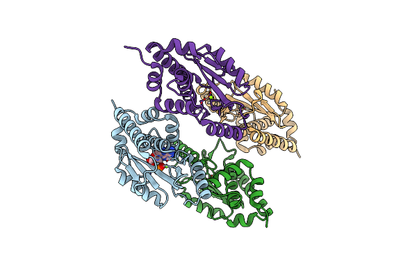 3HW5 image