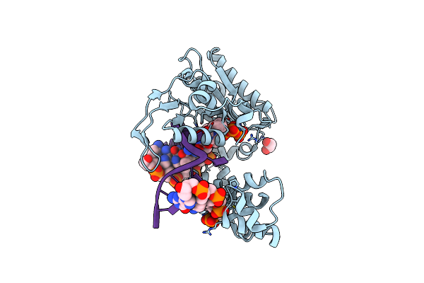 3HWT image