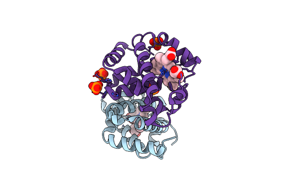 3HYU image