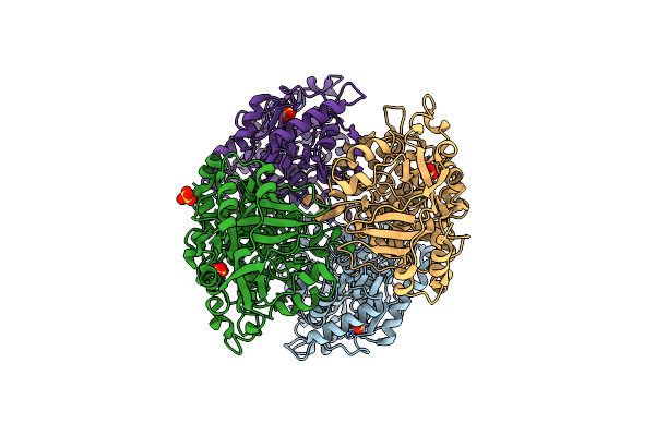 3HZZ image