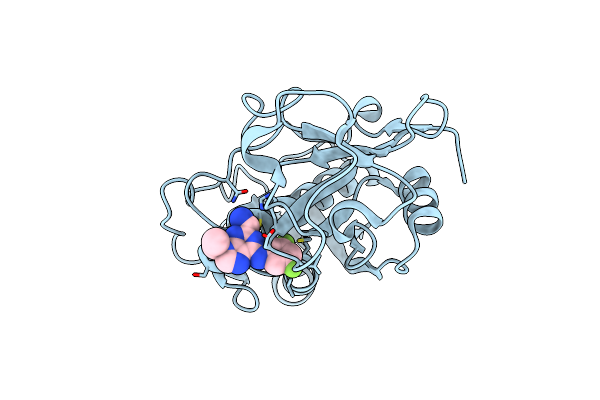 3I06 image