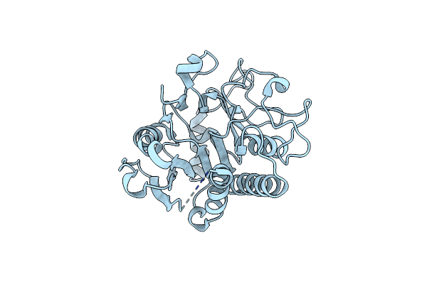 3I0C image