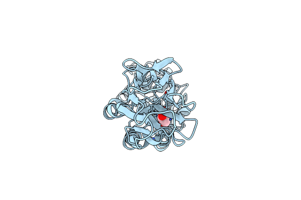 3I0M image