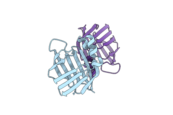 3I17 image