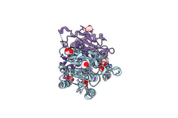 3I1J image