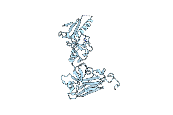 3I2D image