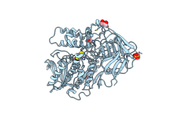 3I2F image